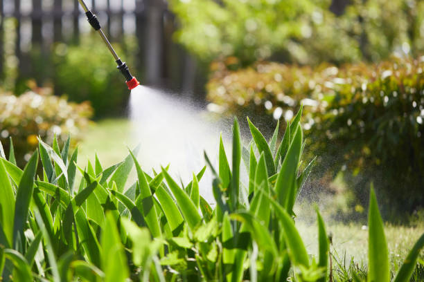 24/7 Emergency Bed Bug Control experts in Eddyville, KY