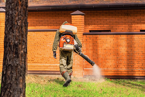 Trusted Bed Bug Control service in Eddyville, KY - Nex Pest Control